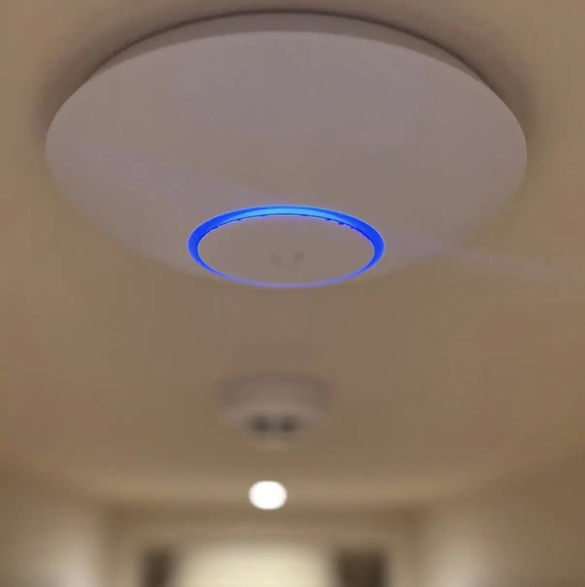 Een UniFi-zender aan het plafond, gevoed via de netwerkkabel